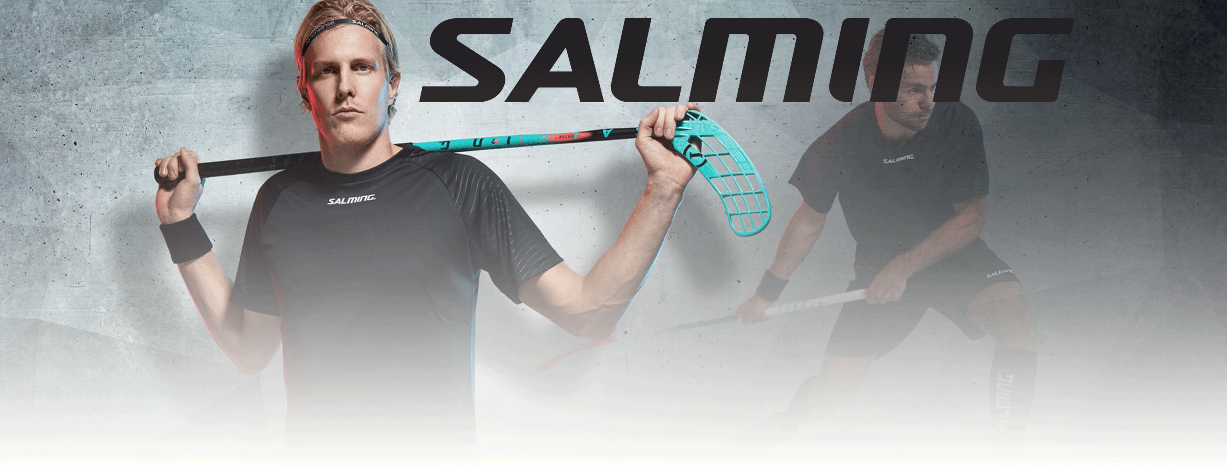 VI HAR GLEDEN AV Å PRESENTERE !