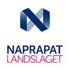 Naprapatlandslaget