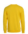 files/021030-10_BasicRoundneck_Back.jpg