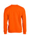 files/021030-170_BasicRoundneck_Back.jpg