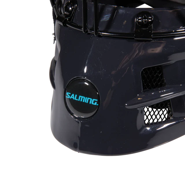 Phoenix Elite Helmet