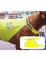 Safety Vest for Dogs - Bamble Hundeklubb
