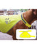 Safety Vest for Dogs - Bamble Hundeklubb