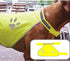 Safety Vest for Dogs - Sandnes Brukshundklubb