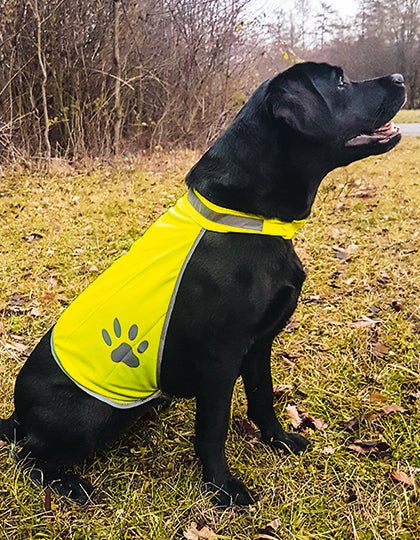 Safety Vest for Dogs - Sandnes Brukshundklubb